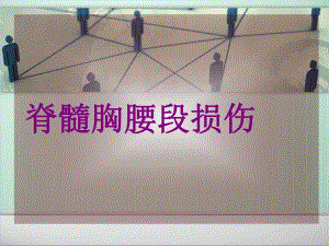 脊髓胸腰段损伤完整版.ppt