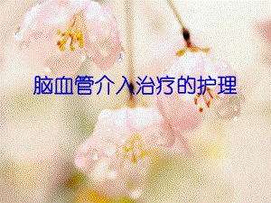 脑血管介入治疗的护理.ppt.ppt