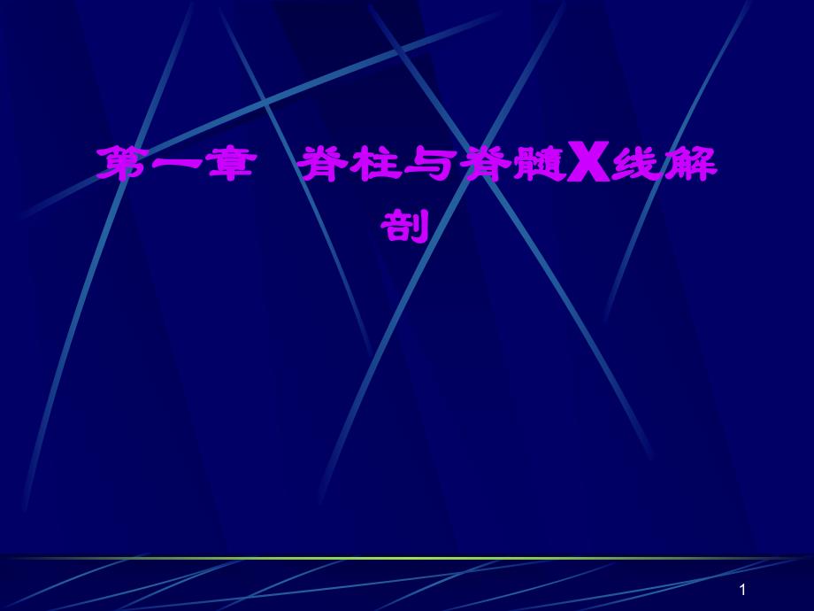 脊柱影像X线解剖.ppt_第1页