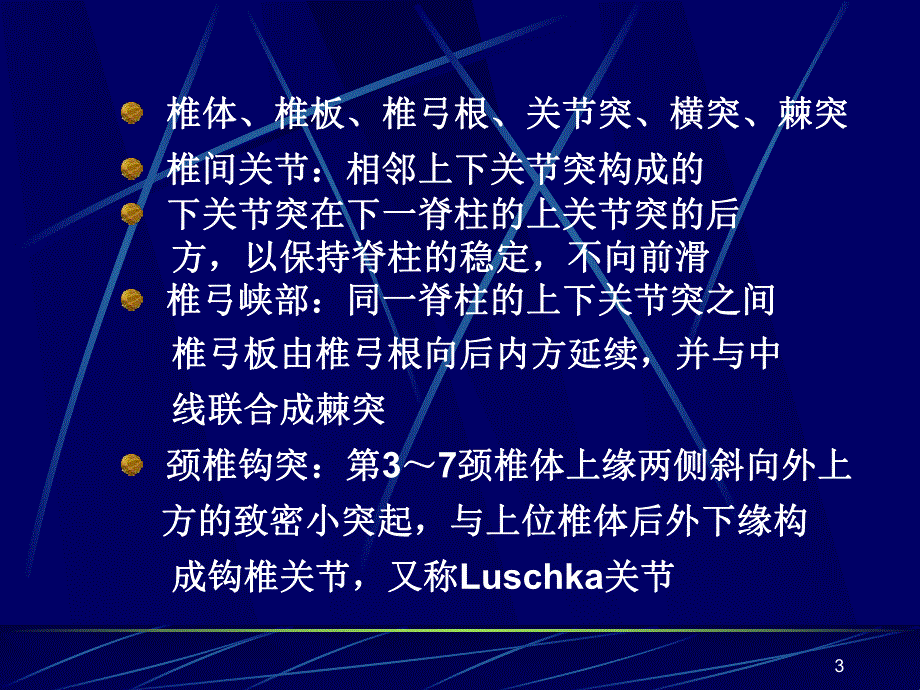 脊柱影像X线解剖.ppt_第3页