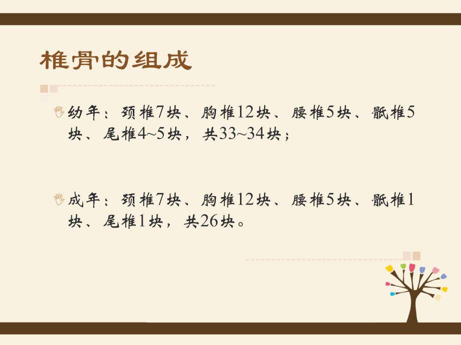 脊柱侧弯护理查房.ppt_第3页