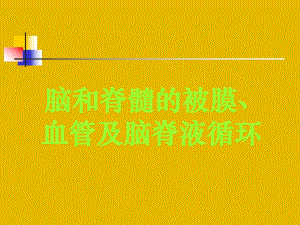 脑和脊髓的被膜血管与脑脊液2.ppt