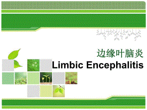 边缘叶脑炎.ppt.ppt