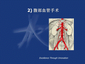 阜外大血管：腹部血管手术.ppt