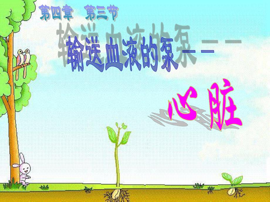 输送血液的泵心脏.ppt_第1页