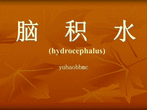 脑积水治疗和护理.ppt.ppt