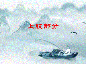 针刀医学上肢部分的治疗.ppt