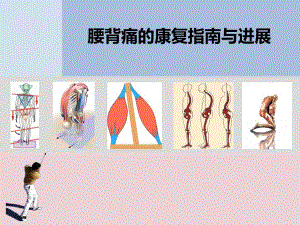 腰背痛的康复指南与进展.ppt