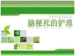 脑梗塞的护理.ppt