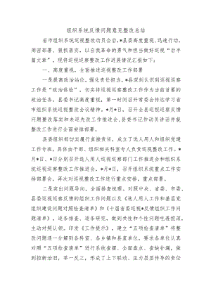 组织系统反馈问题意见整改总结.docx