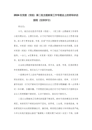 2024在党委（党组）第二批主题教育工作专题会上的领导讲话提纲.docx