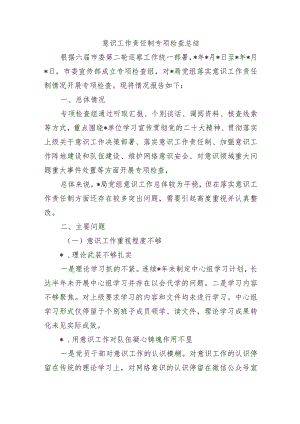 意识工作责任制专项检查总结.docx