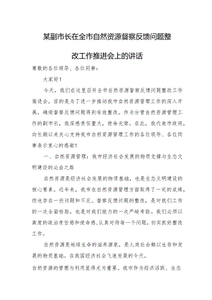 某副市长在全市自然资源督察反馈问题整改工作推进会上的讲话.docx