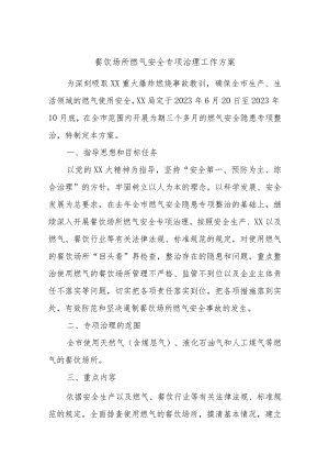 餐饮场所燃气安全专项治理工作方案.docx