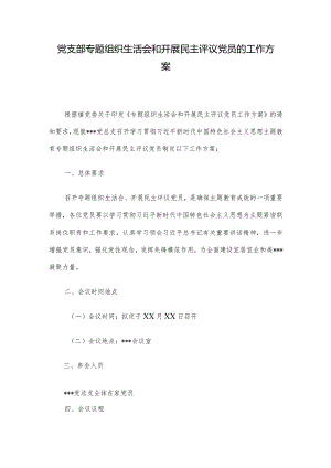 党支部专题组织生活会和开展民主评议党员的工作方案.docx