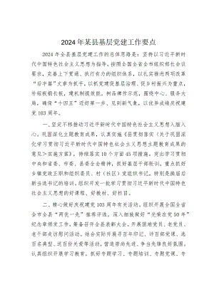 2024年某县基层党建工作要点.docx