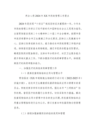 2024年XX市药政管理工作要点.docx