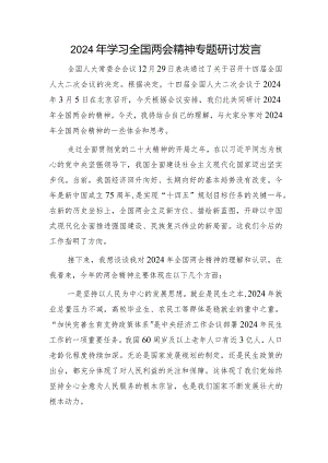 2024年两会精神专题研讨发言.docx