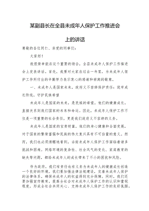 某副县长在全县未成年人保护工作推进会上的讲话.docx