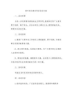 青年岗位建功项目活动方案.docx
