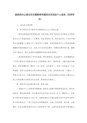 县政府办公室主任主题教育专题民主生活会个人发言.docx