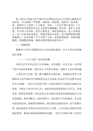 第二批主题教育专题民主生活会检视剖析材料.docx