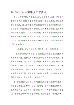 县（区）组织部年度工作要点.docx