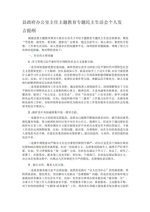 县政府办公室主任主题教育专题民主生活会个人发言提纲.docx