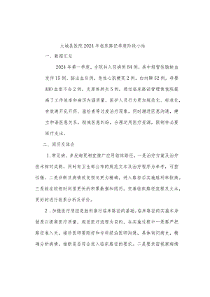 2024临床路径季度总结.docx