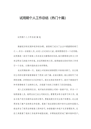 试用期个人工作总结（热门十篇）.docx