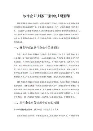 软件企业财务管理中的问题及对策.docx