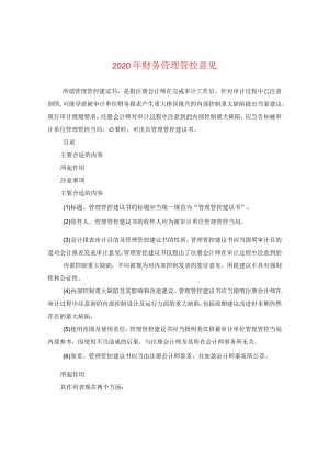 2024年财务管理意见.docx