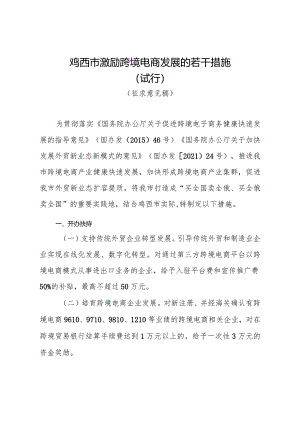鸡西市激励跨境电商发展的若干措施（试行）.docx