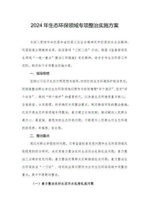 2024年生态环保领域专项整治实施方案.docx