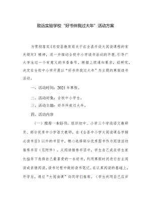 致远实验学校“好书伴我过大年”活动方案.docx