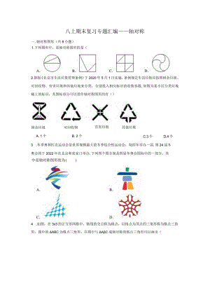 八上期末复习专题汇编——轴对称.docx