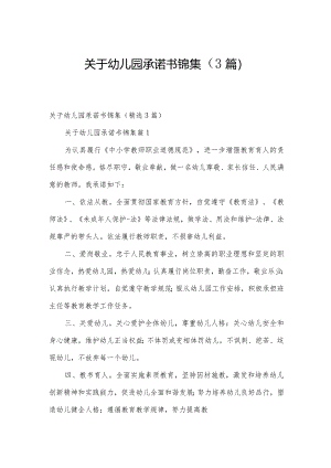 关于幼儿园承诺书锦集（3篇）.docx