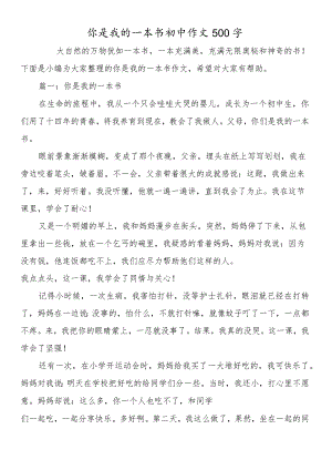 你是我的一本书初中作文500字.docx