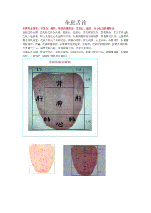 全息舌诊.docx
