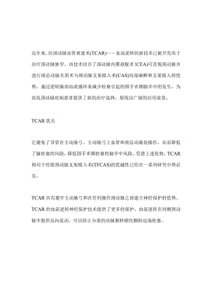 2024经颈动脉血运重建治疗的优势和手术注意事项.docx