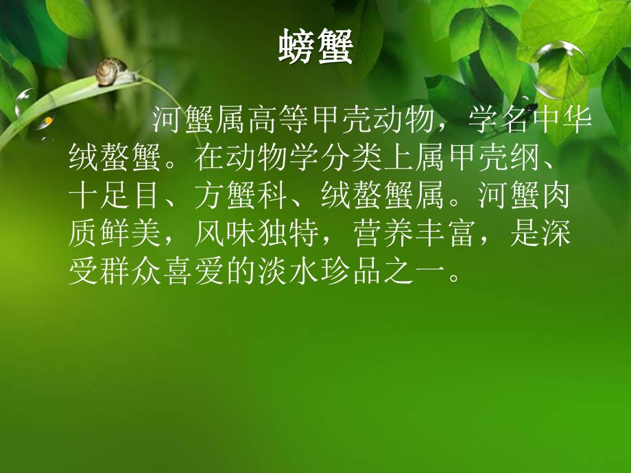 螃蟹的饲养管理与疾病防治.ppt_第2页