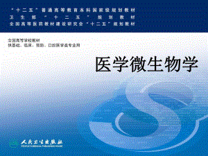 24、第24章 病毒感染的检查方法与防治原则.ppt