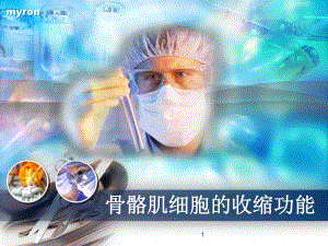 骨骼肌细胞的收缩功能.ppt