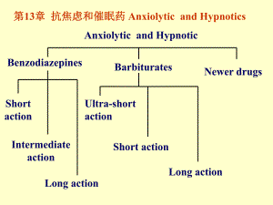 镇静催眠药.ppt