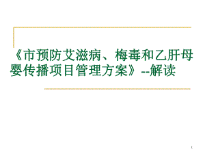 预防艾滋病梅毒与乙肝母婴传播项目管理方案解读.ppt