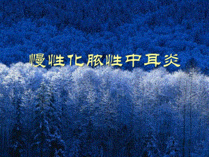 28慢性化脓性中耳炎.ppt