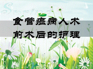 食管癌病人术前术后的护理.ppt