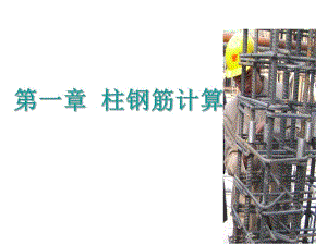 钢筋柱计算课程讲解.ppt