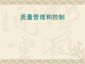 铁路工程质量控制与管理.ppt