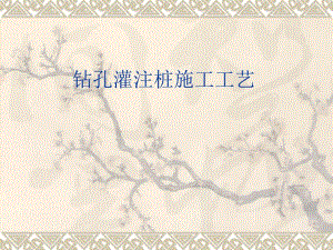 钻孔灌注桩施工工艺2.ppt